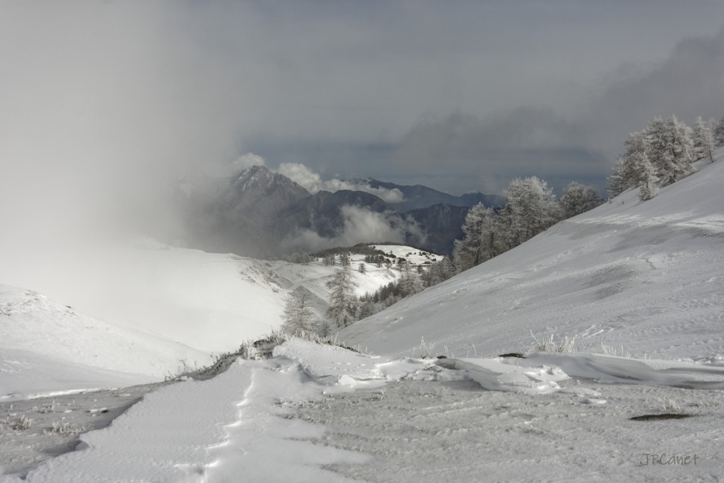 Après l'averse de neige